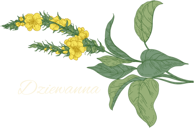 logo_dziewanna
